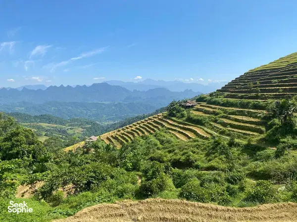 Ha Giang rice terraces winding across the hillsides during a trek through quiet Tay and Dao villages