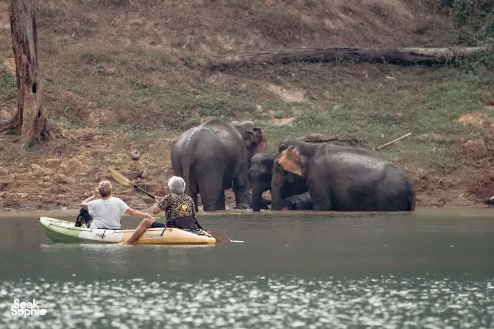 Seek Sophie option picture