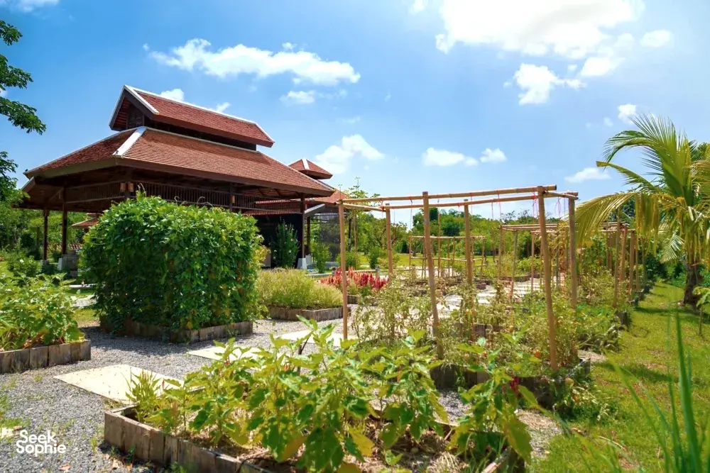 Seek Sophie option picture