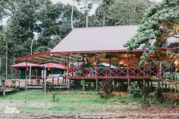 4H3M Sungai Kinabatangan, Pulau Penyu & Rizab Orangutan Sepilok