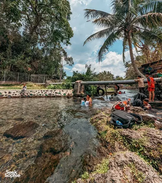 Half-day National Park Kumbi Forest Cycling in Lombok 