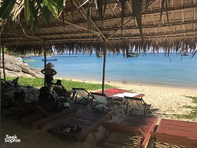 Seek Sophie option picture