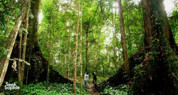 3D2N Cat Tien Garden Stay | Full Park Adventure at a Slower Pace