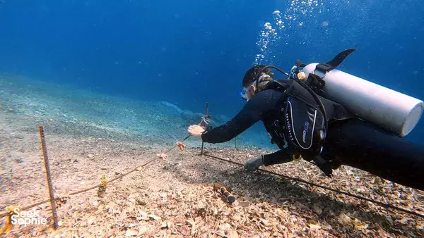 4 day reef conservation in Bali