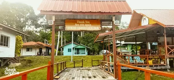 Borneo Big 5: 4D3N Kinabatangan River Safari for Wildlife Lovers