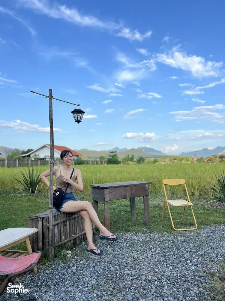 Seek Sophie option picture