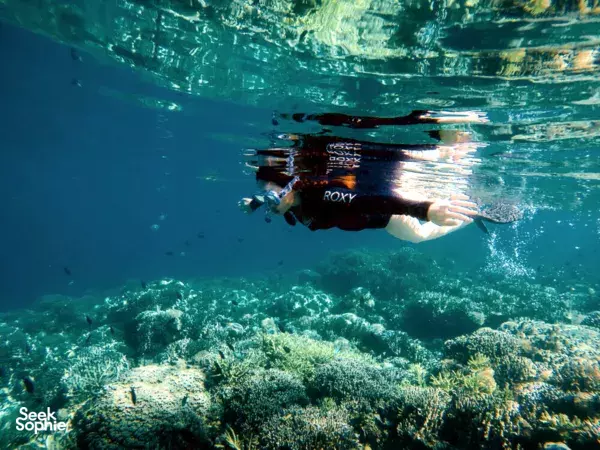 Underwater view of a snorkeller swimming above coral in clear water at Labuan Bajo, breathing mask and fins visible below the surface