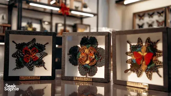 Transform Butterfly Wings into a Stunning Mandala Artwork