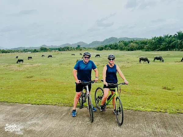 Two cyclists riding across rural pasture near Khao Lak, with cows grazing in the background and mountains in the distance