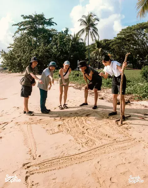 Mangrove & Intertidal Walks with Experienced Wildlife Seekers | Corporate Team Bonding
