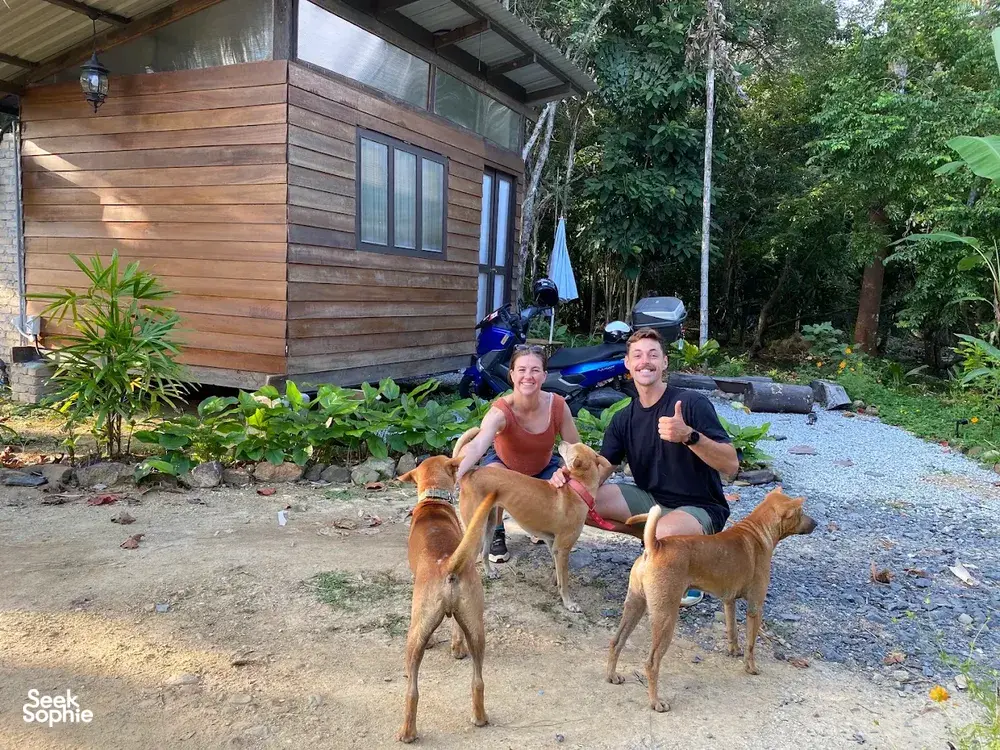 People relaxing with several dogs in front of a wooden cabin amid greenery at Kebun Lidstari permaculture farmstay in Langkawi