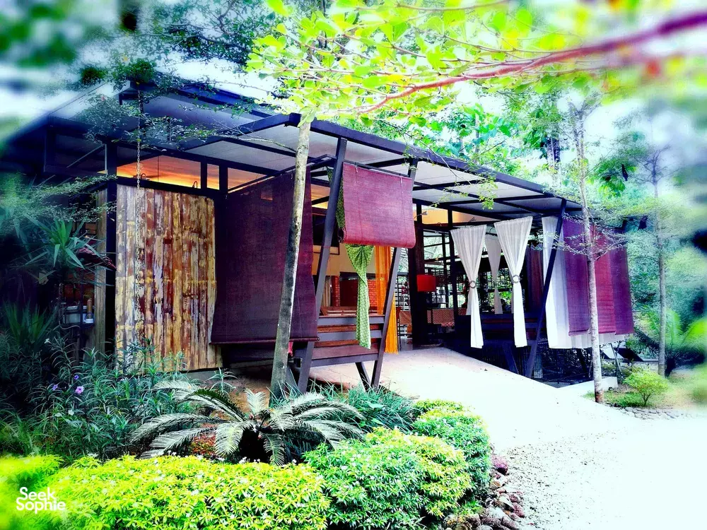 Seek Sophie option picture