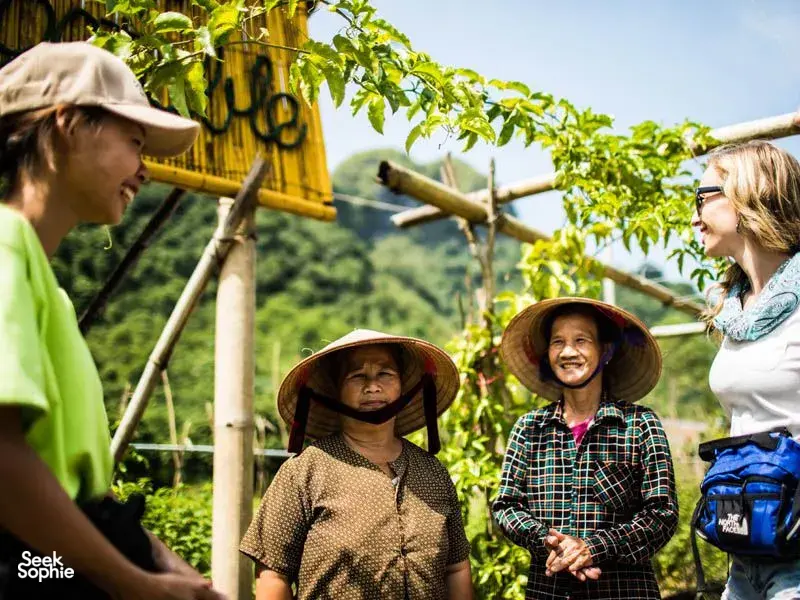 Seek Sophie option picture