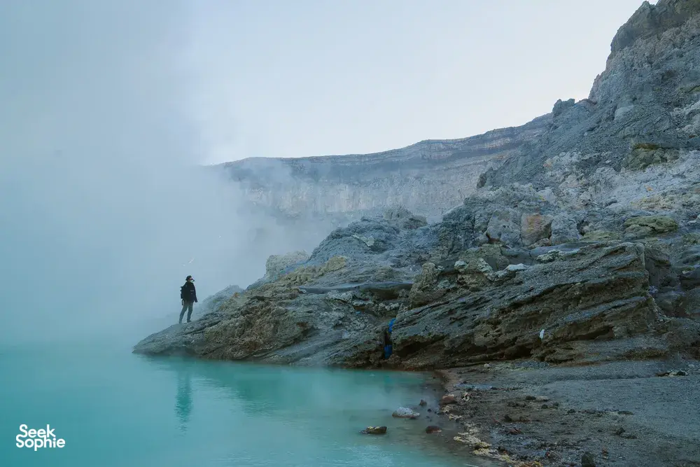 Seek Sophie option picture