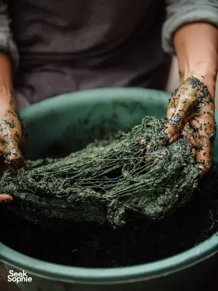 Discover Lombok's Oldest Mosque & Traditional Weaving with Woman Guide