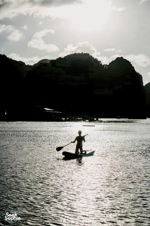 Seek Sophie option picture