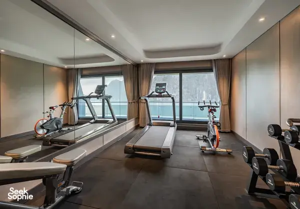 Shipboard gym on Doris Cruise with treadmills and rowing equipment, framed by panoramic windows looking out over Halong Bay
