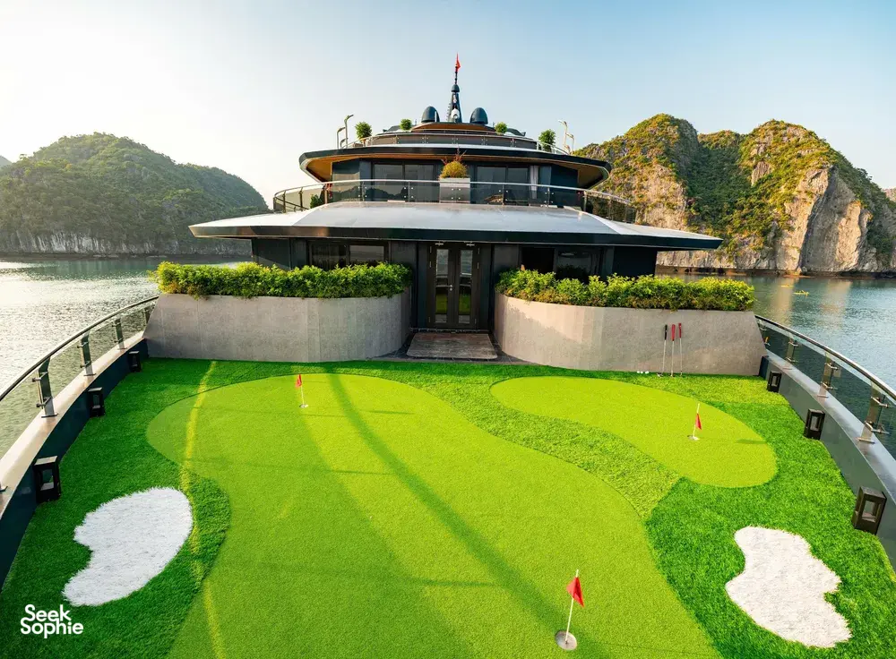 Seek Sophie option picture