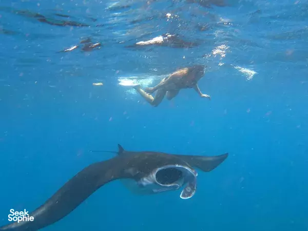 Full Day Trip to Nusa Lembongan from Bali | 3 Island Snorkeling