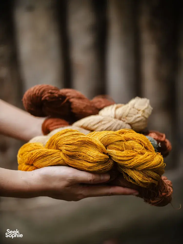 Seek Sophie option picture