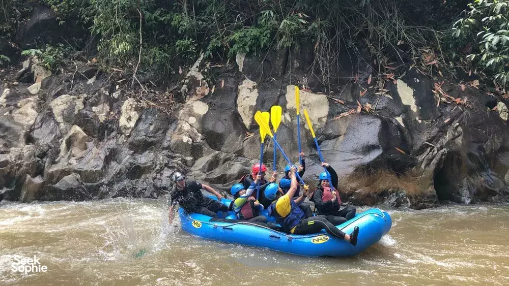 Seek Sophie option picture