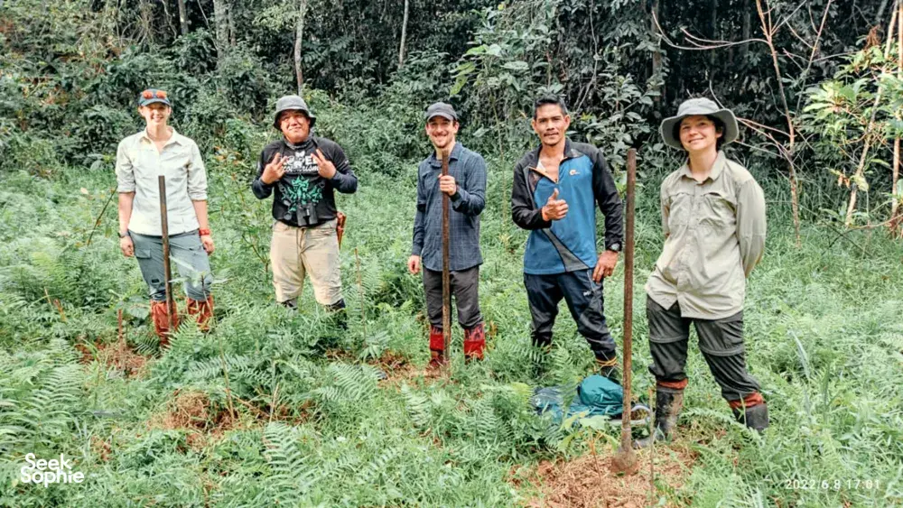 Seek Sophie option picture