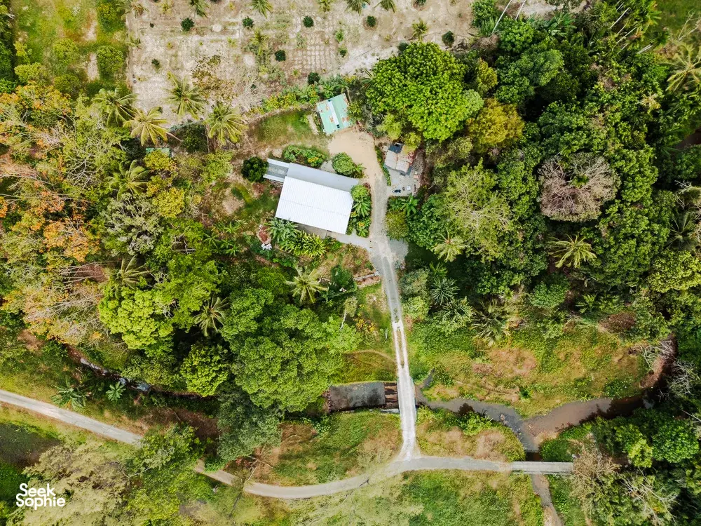Aerial view of Kebun Lidstari permaculture farmstay in Langkawi, surrounded by greenery and garden paths