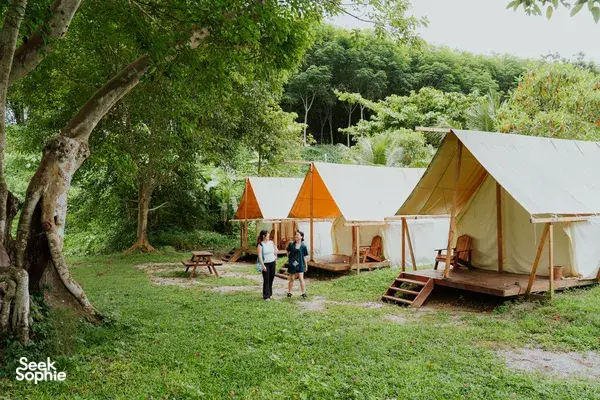 Glamping tents in a green forest clearing with travellers strolling between wooden decks during a stay in Khao Sok National Park