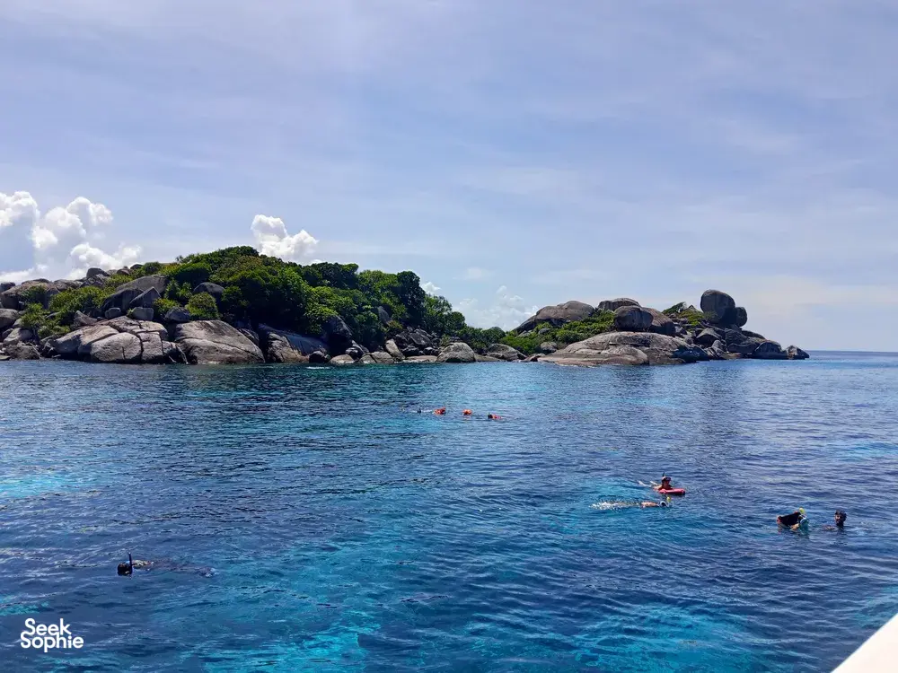 Seek Sophie option picture