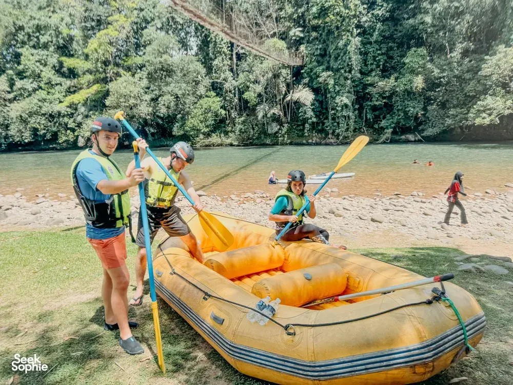 Seek Sophie option picture