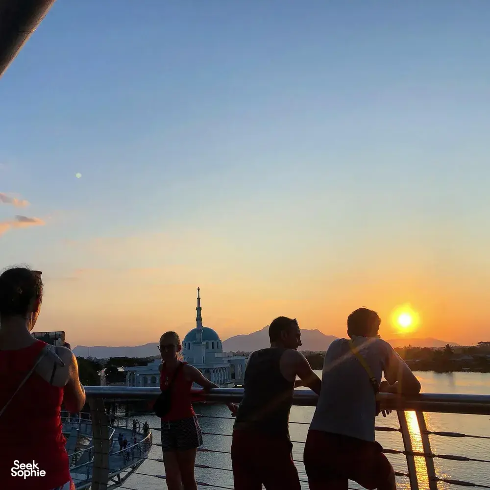 Seek Sophie option picture