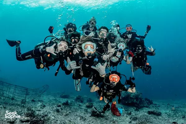 Pengalaman Penanaman Karang 3 Hari di Gili Trawangan