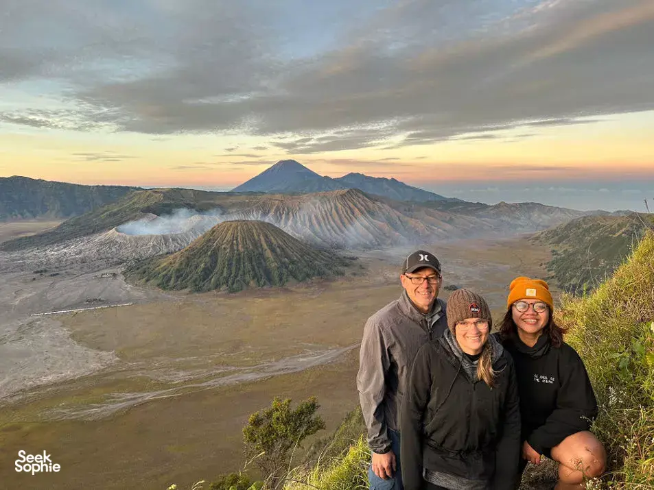 Seek Sophie option picture