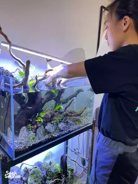 Reka Akuaskap Air Tawar Anda Sendiri