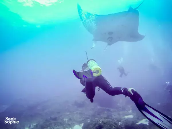 Discover Scuba Diving in Nusa Penida