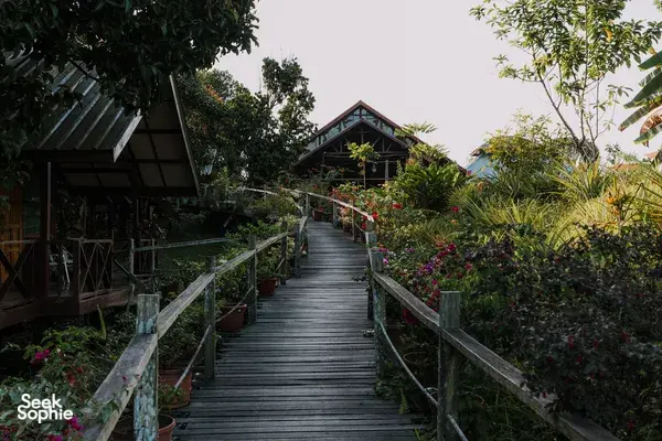 Garden walkway with wooden railings at Borneo Natural Sukau Bilit Resort in Sandakan, leading past tropical plants to chalets