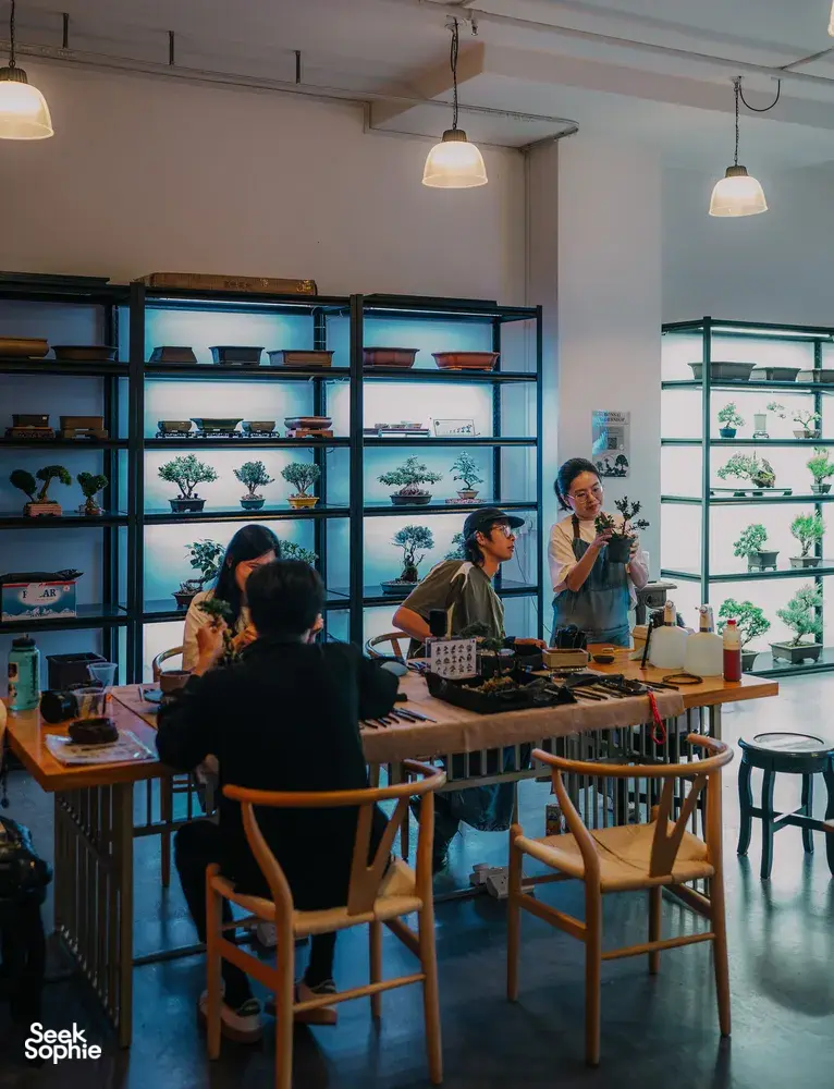 Bonsai workshop class in Singapore with several people working at tables beneath shelves of tropical trees — workshops in Singapore