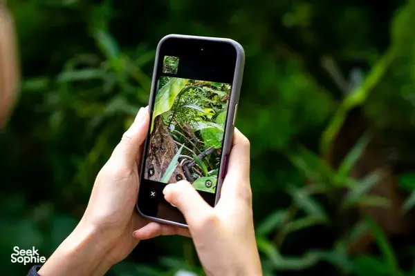 A Private Walk Through Singapore's Wildest Garden