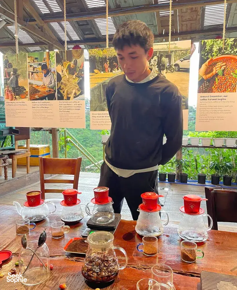 Seek Sophie option picture