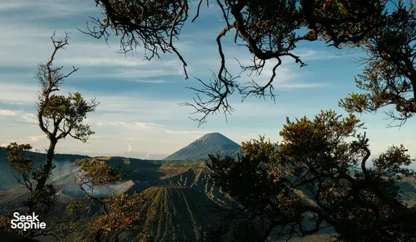2D1N Hidden Trails of Mount Bromo | 3 Different Viewpoints!