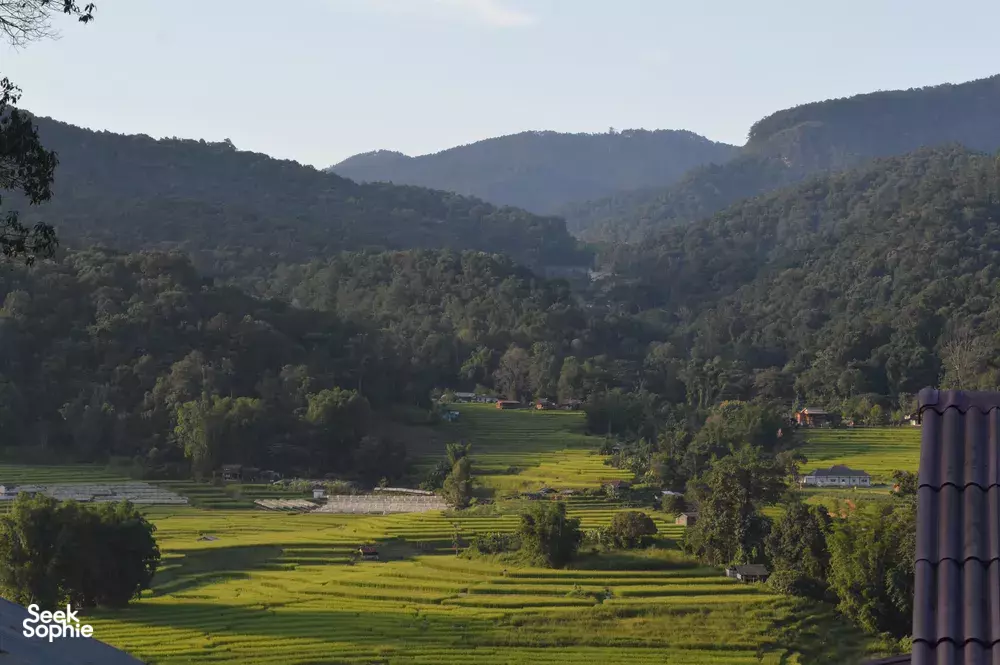 Seek Sophie option picture