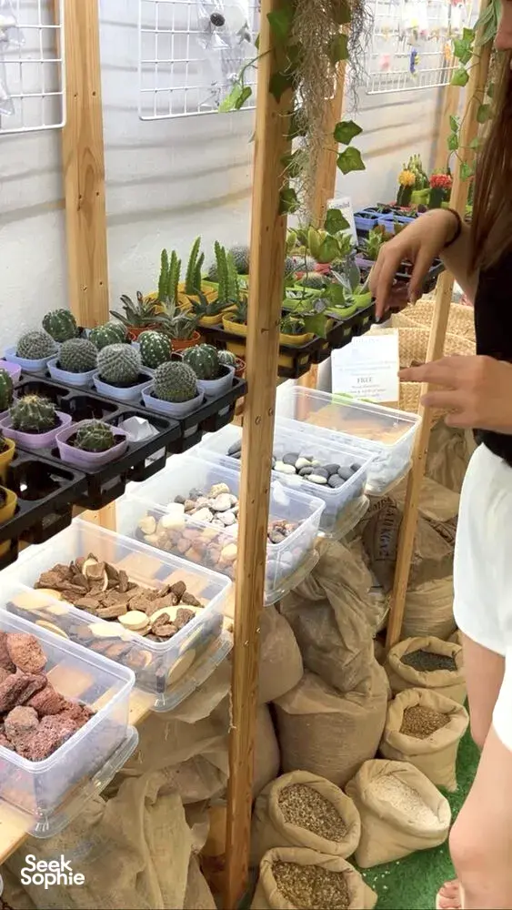 Seek Sophie option picture