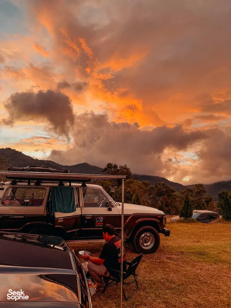 Seek Sophie option picture