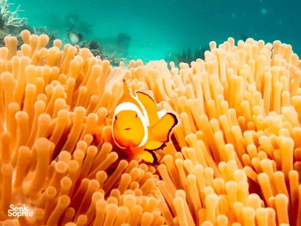 South-West Island Hopping: Explore Gili Nanggu, Gili Sudak & Gili Kedis with GoPro Documentation!