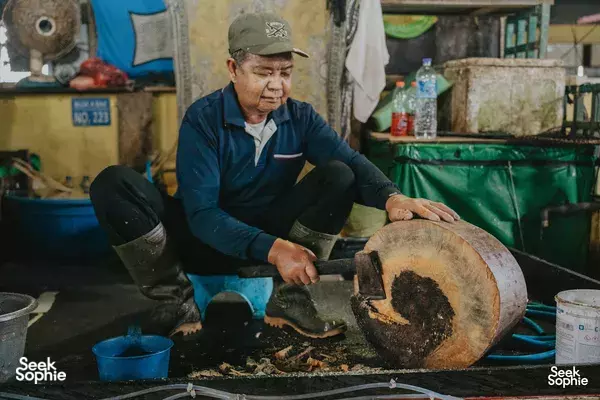 Beyond the Orangutans: Life & Stories in Pangkalan Bun