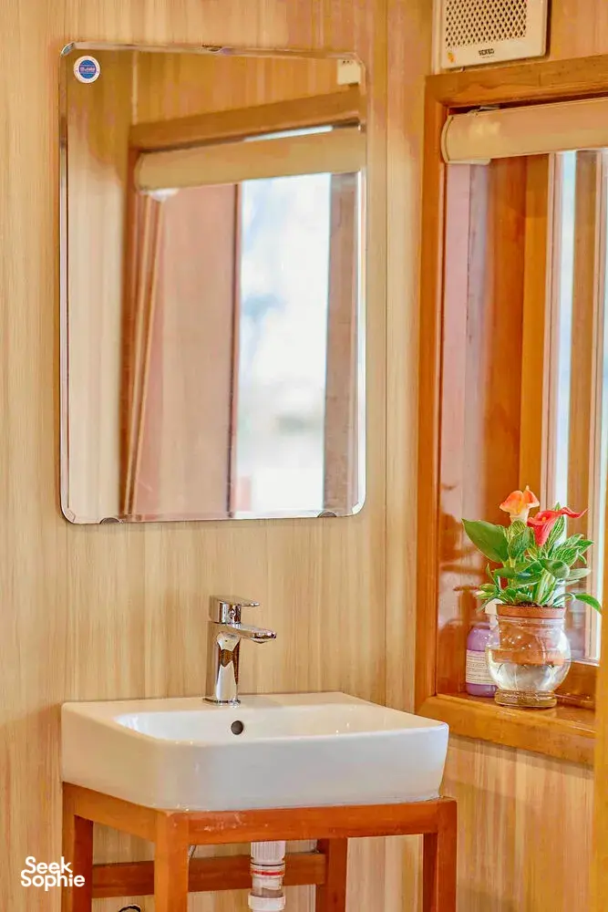 Seek Sophie option picture