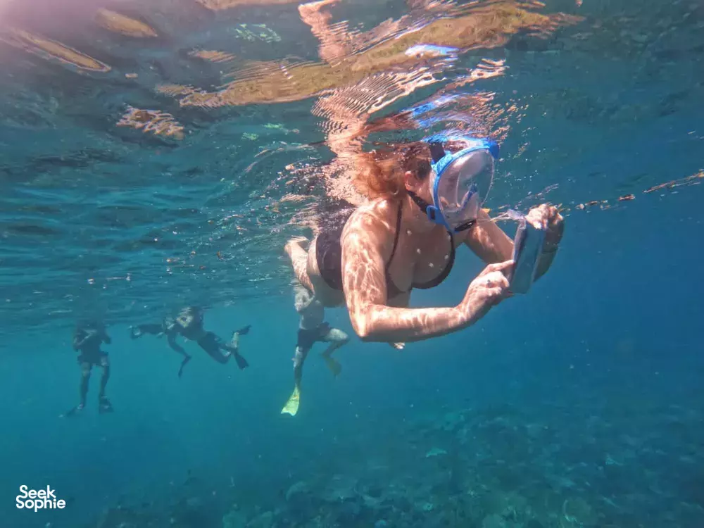 Seek Sophie option picture