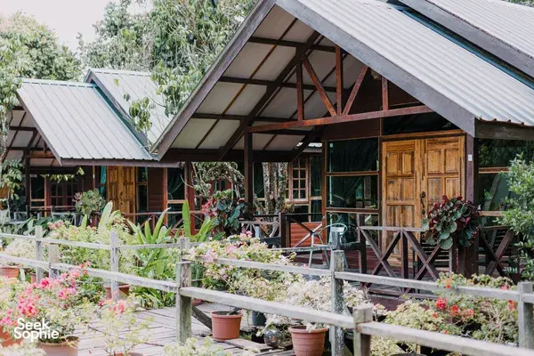 2D1N Orangutans, Sun Bears & Kinabatangan River Safari | Sepilok stay