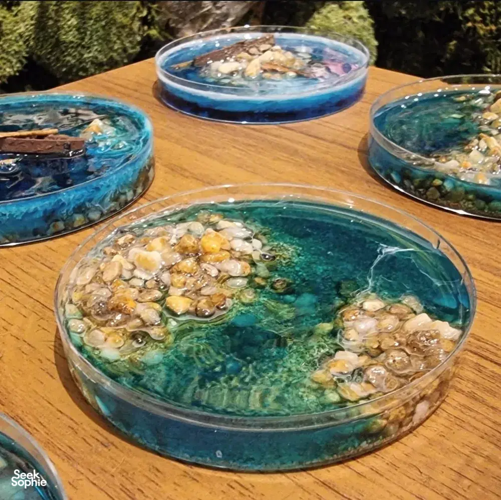 Seek Sophie option picture