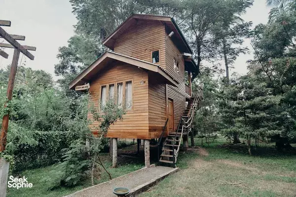 Wooden safari lodge on stilts surrounded by trees with a small front deck in lush Anuradhapura, Sri Lanka